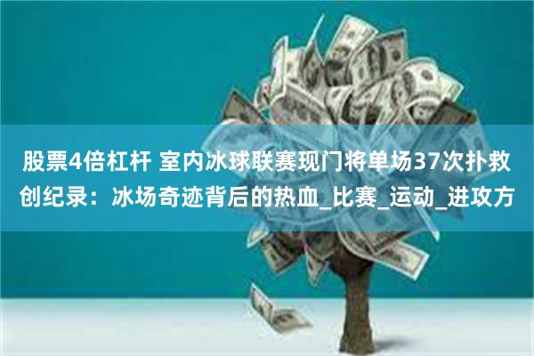股票4倍杠杆 室内冰球联赛现门将单场37次扑救创纪录：冰场奇迹背后的热血_比赛_运动_进攻方