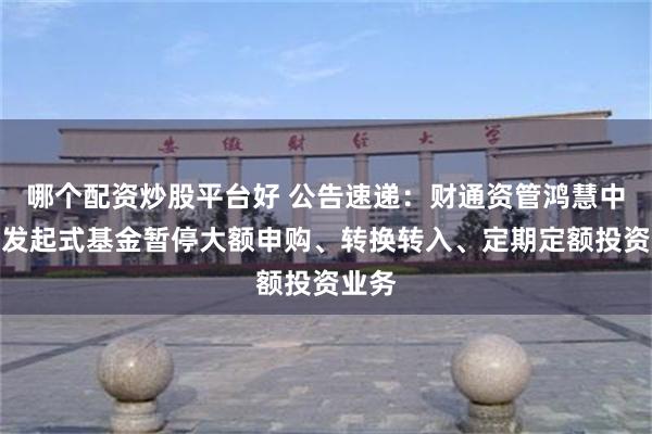 哪个配资炒股平台好 公告速递：财通资管鸿慧中短债发起式基金暂停大额申购、转换转入、定期定额投资业务
