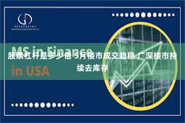股票杠杆是多少倍 5月楼市成交趋稳 广深楼市持续去库存