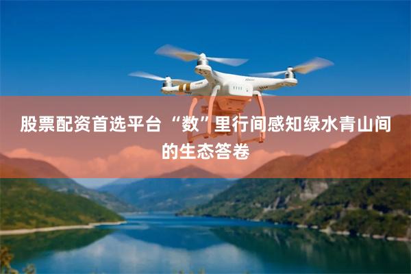 股票配资首选平台 “数”里行间感知绿水青山间的生态答卷