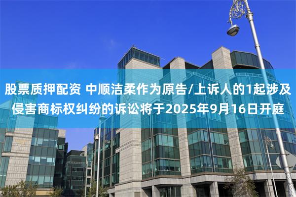 股票质押配资 中顺洁柔作为原告/上诉人的1起涉及侵害商标权纠纷的诉讼将于2025年9月16日开庭