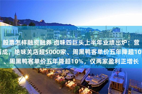 股票怎样融资融券 卤味四巨头上半年业绩出炉:营收降超10%、净利跌两成,绝味关店超5000家、周黑鸭客单价五年降超10%,仅两家盈利正增长