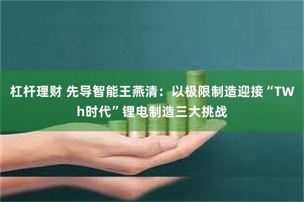 杠杆理财 先导智能王燕清:以极限制造迎接“TWh时代”锂电制造三大挑战